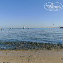 фото из отзыва ID 2733553