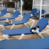 фото из отзыва ID 2733551