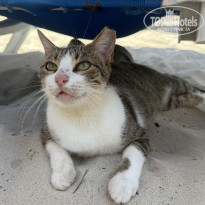 фото из отзыва ID 2733551