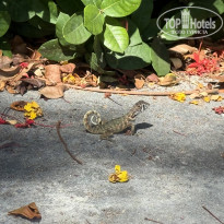 фото из отзыва ID 2733551