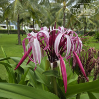 фото из отзыва ID 2733569