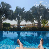 фото из отзыва ID 2733577