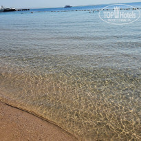 фото из отзыва ID 2733577