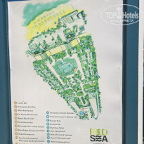 фото из отзыва ID 2733583