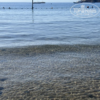 фото из отзыва ID 2733583