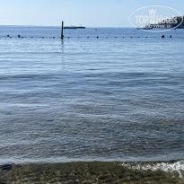 фото из отзыва ID 2733583