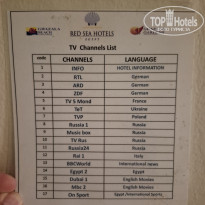 фото из отзыва ID 2733583