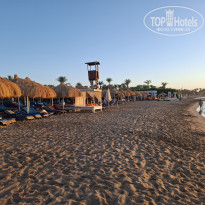 фото из отзыва ID 2733583