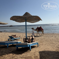 фото из отзыва ID 2733595