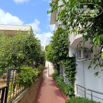 фото из отзыва ID 2733610