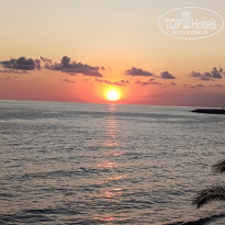 фото из отзыва ID 2733610