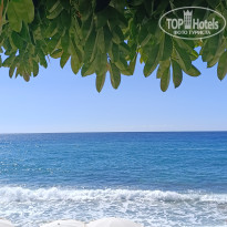 фото из отзыва ID 2733610