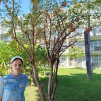 фото из отзыва ID 2733614