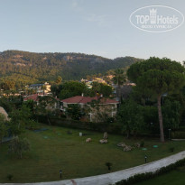 фото из отзыва ID 2733614