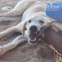 фото из отзыва ID 2733583