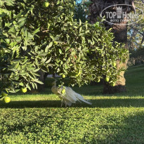 фото из отзыва ID 2733619