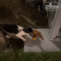 фото из отзыва ID 2733603