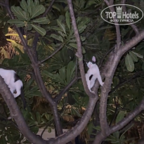 фото из отзыва ID 2733603