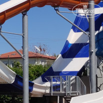 фото из отзыва ID 2733633