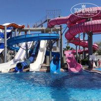 фото из отзыва ID 2733633