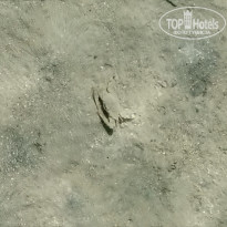 фото из отзыва ID 2733657