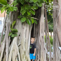 фото из отзыва ID 2733671