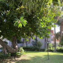 фото из отзыва ID 2733671