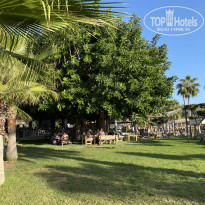 фото из отзыва ID 2733671