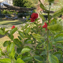 фото из отзыва ID 2733671