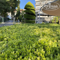 фото из отзыва ID 2733671