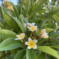 фото из отзыва ID 2733671