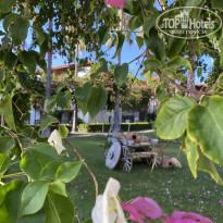 фото из отзыва ID 2733671