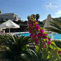 фото из отзыва ID 2733672