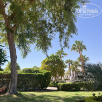 фото из отзыва ID 2733687