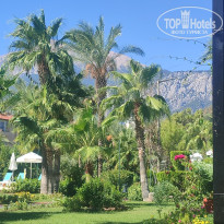 фото из отзыва ID 2733688