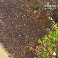 фото из отзыва ID 2733692