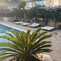 фото из отзыва ID 2733696