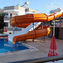 фото из отзыва ID 2733698