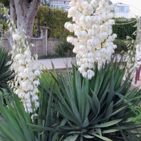 фото из отзыва ID 2733698