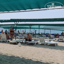 фото из отзыва ID 2733698