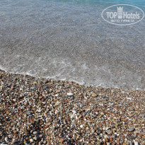 фото из отзыва ID 2733698