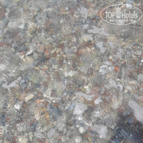 фото из отзыва ID 2733698