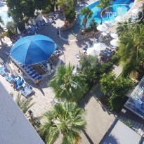 фото из отзыва ID 2733721