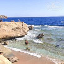 фото из отзыва ID 2733732