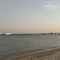 фото из отзыва ID 2733759