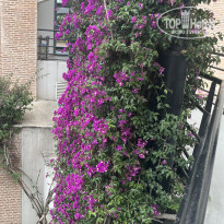 фото из отзыва ID 2733769