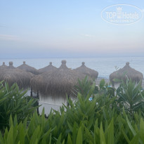 фото из отзыва ID 2733769