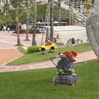 фото из отзыва ID 2733769