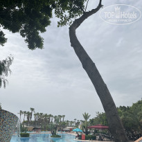 фото из отзыва ID 2733769