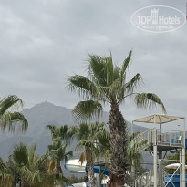 фото из отзыва ID 2733769